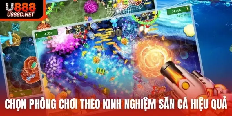 Chọn phòng chơi theo kinh nghiệm để săn cá hiệu quả hơn