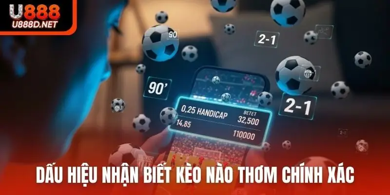 Dấu hiệu nhận biết kèo nào thơm chính xác