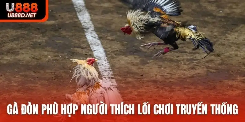 Gà đòn phù hợp người thích lối chơi truyền thống