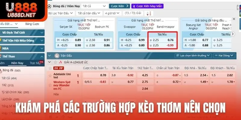 Khám phá các trường hợp kèo thơm nên chọn