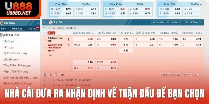 Nhà cái sẽ đưa ra nhận định về trận đấu để bạn chọn