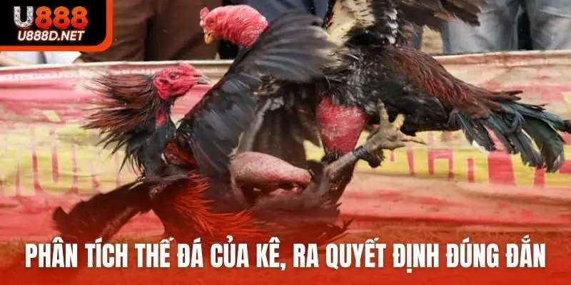 Phân tích thế đá của kê, tỷ lệ ra quyết định đúng đắn